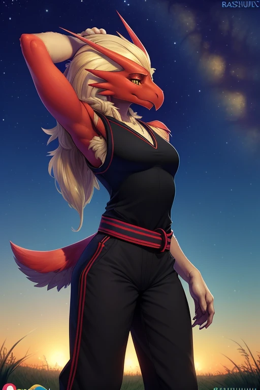 uploaded on e621, explicit content, 3d:0.4, (bastika, cutesexyrobutts, hioshiru), (furry, anthro:1.2), female, solo, blaziken, stargazing, (black karate uniform:1.2, black belt), clothing, clothed, grassy field setting, standing up, karate pose, looking up...