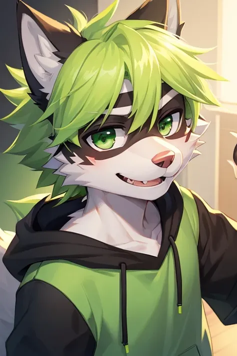 (((8K))), (((wolf))), ((spiky hair)), nose bandage, (((limegreen hair))), boy, schoolboy, cute boy, cute, lime green eyes, lime green hoodie, long muzzle, black fur, smiling, delinquent, handsome, very detailed, intricate detail, detailed face, cute fang, ...