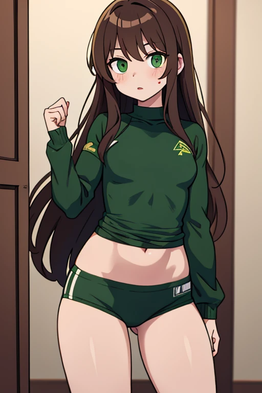 A woman, long brown hair, green eyes, pale skin, small waist, abs, compression shirt