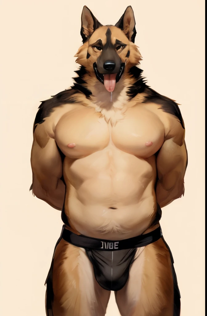 Solo, Furry, German Shepherd, Anthro, Male, E621, Standing, thick bulky body, pink nipples, tongue out drooling, Hands behind back, Wearing black jockstrap, Plain background, Front view, tan Fur, By bebebebebe