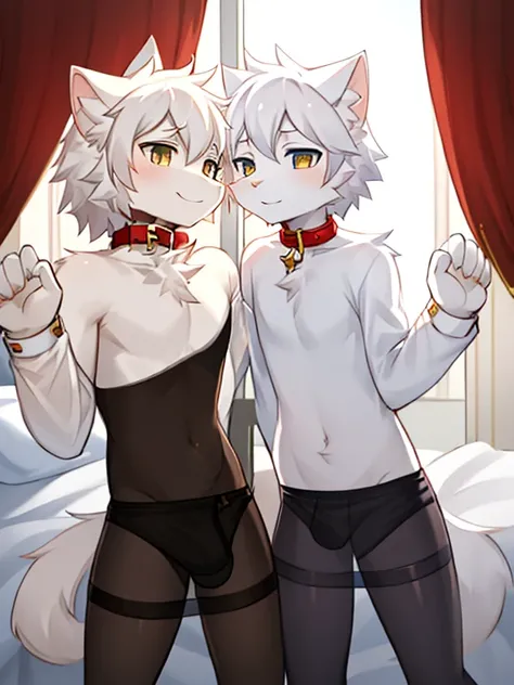 Two male white cats wearing transparent leggings on the bed，Two white cats&#39; The crotches stick together，Collar，Locked