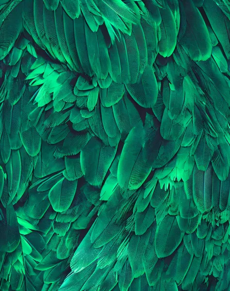 (Best quality at best,4K,A high resolution,tmasterpiece:1.2), ultra - detailed, actual:1.37, Vibrant green feathers, Detailed tropical bird feathers, glowing feathers, Delicate feathers, beautiful feathers, bird feathers, feater, Feathery, Layered feather ...