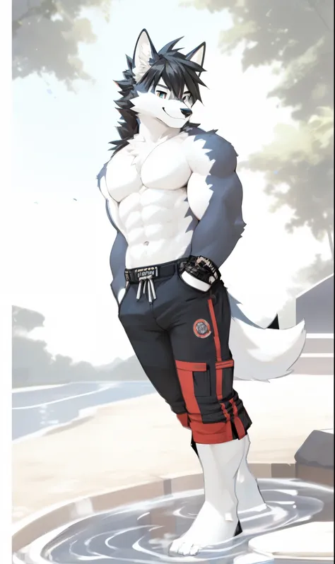 Smile Expression，white Fox Kemono, male people， full stature，Exquisasterpiece， Full of details，pool，swim trunks，The upper body  naked，black hair，shorter pants，standing on your feet, Camera in the water,  background, White ground, Dappled light, Natural lig...