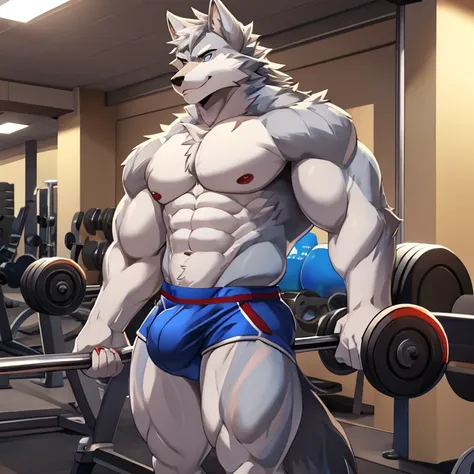 hairy pubic，Male Wolf，Silver-gray hair，blue color eyeuscular plump，Half-naked，Big bag，Strong，Lift dumbbells，Alone，细致背景，gym background