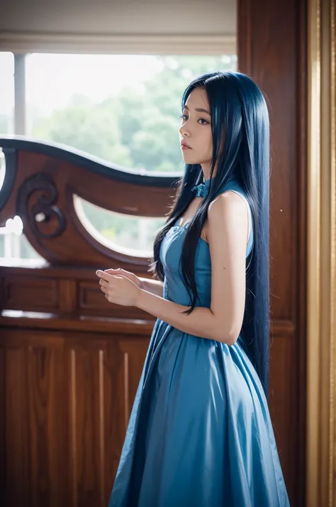 Cecily,Alone,blue long hair,horse tailed,Long blue dress,