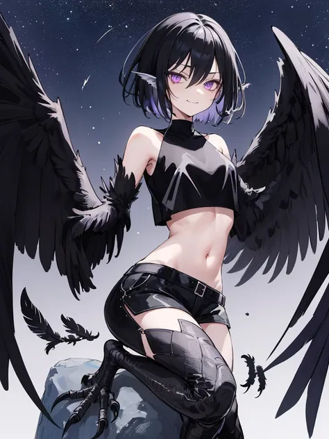 harpy woman, black feathers, short black hair, wings instead of arms, narrow eyes, mysterious, violet eyes, (evilish smirk:1.1), (black fantasy crop-top:1.3), black bird legs, talons, standing on a stone, starry night sky in background