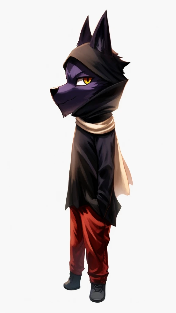 Masterpieces, furry, male, (wolf), solo, chibi, kemono, wearing black cloak, wearing white scarf, wearing red pants, high quality, absurd res, digital painting, (dark shadows, wide dynamic range, hdr, low light:1.2)