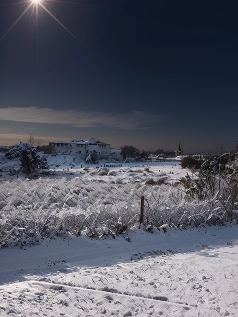 muita neve, manto de neve, arvores com neve, telhados com neve