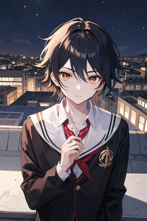 1boy, black hair, schools uniforms, brown eyes, white skin,anime,genshin impact,night,school rooftop