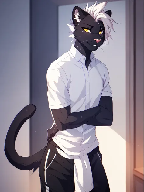 Solo, male, a cute grey anthro furry panther boy, a single panther tail, muscular, white spiky faux hawk hair, yellow eyes, by fumiko, by hyattlen, by hioshiru, indoors, tight white shirt, grey sweat pants, standing