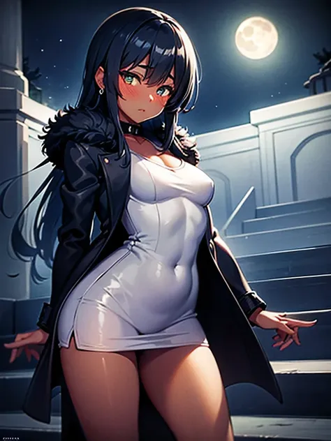 (masutepiece), (Best Quality, High resolution), 1girl in, (Dark skin:1.3), (chubby), medium breasts, pointy ear, shirt blue and black hair, Green eyes, Glowing eyes, Fur coat, Dress, blush, Moon, Moonlight, Outside, stairway