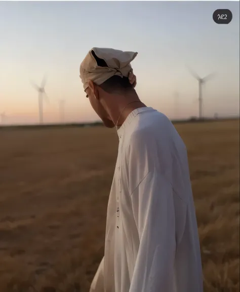 Farris azura, windmills, field