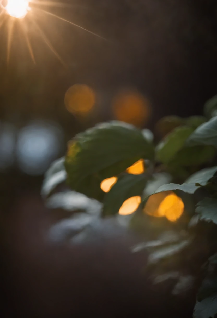 a close-up shot of color bokeh against a dark background, utilizing a wide aperture to create a shallow depth of field and isolate specific bokeh lights for added visual impact