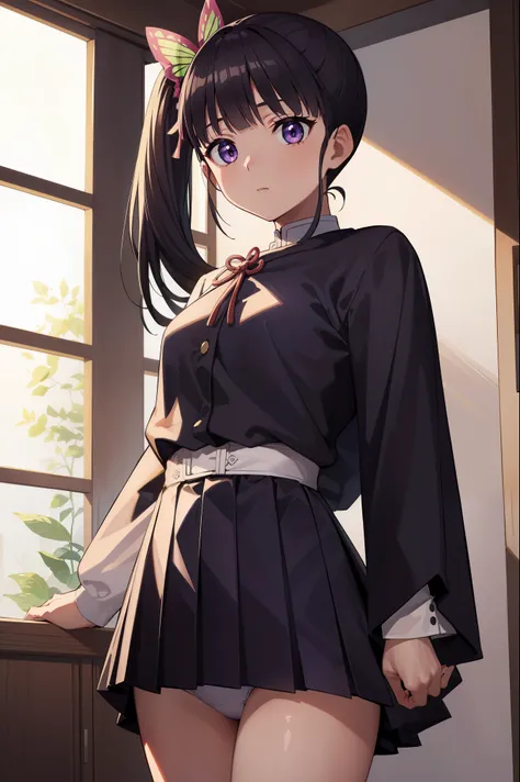 Kanaotsu Yuri, Kanao Tsuyuri, Black hair, butterfly, butterfly hair ornament, (Purple eyes:1.1), Side Ponytail, Ponytail, 
Blake Black Skirt, Cape, demon slayer uniform, Long sleeves, Pleated skirt, Skirt, white cape,
BREAK looking at viewer,
Break indoors...