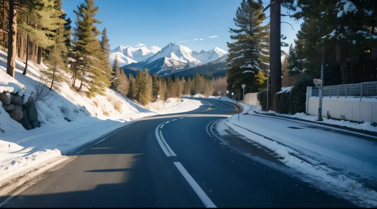 trees near road