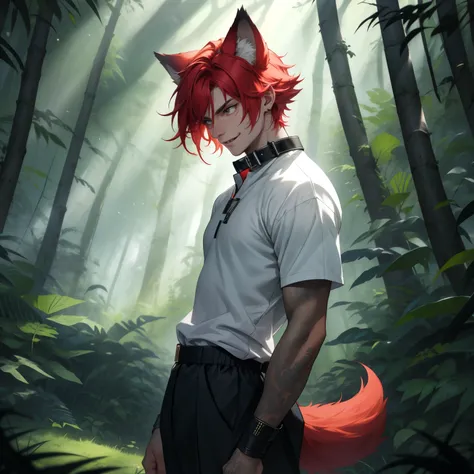 In a lush forest, a lithe male with striking red hair catches your attention. He possesses a captivating charm, enhanced by the presence of his distinct wolf ears and a fluffy wolf tail, which accentuate his enigmatic aura. Clad in a fashionable graphic t-...