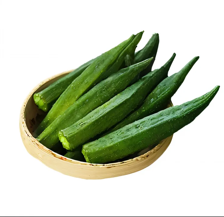 okra，Illustration style，OilPaintStyle，high qulity