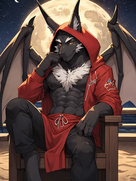 (ByZEphyrus)furry.bara,fox,Black feathers,golden eyes,Star-shaped pupil 1.5,Has dragon horns 1.0 ,winged dragon 1.0 ,Wear a red hoodie,Wear black trousers..,sitting on a chair by the sea,at night,Looking up at the colored belly,There are stars in the sky..