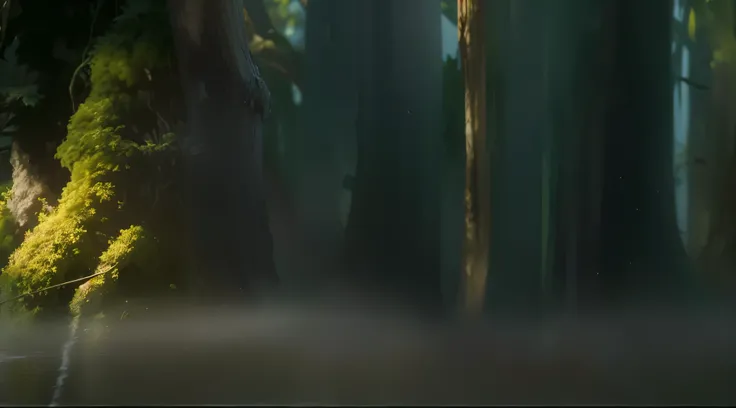 forest,trees,Light,迷雾forest