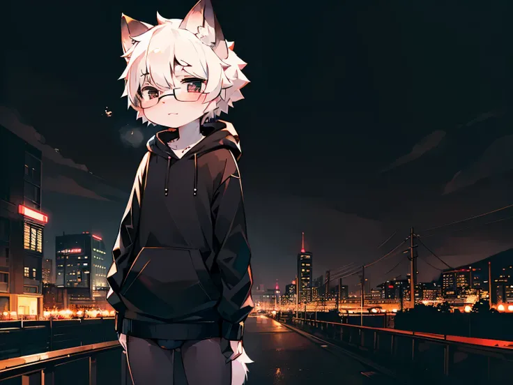 Solo, kemono, femboy, white hair, black eyes, wear black hoodie, wear black boxer, wear black glasses, no smile, night time, stand on footpath, japan city background, neon light, high details, details background