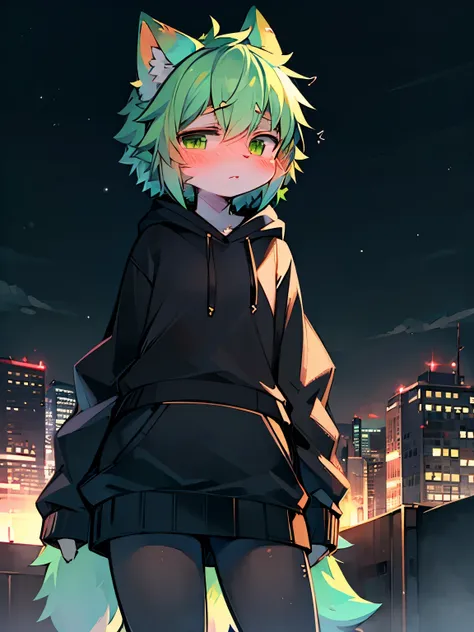 Solo, kemono, femboy, green hair, green eyes, wear hoodie, wear black skirt, shy, blushes, look at camera, stand in park, night time, city background, neon city, high details