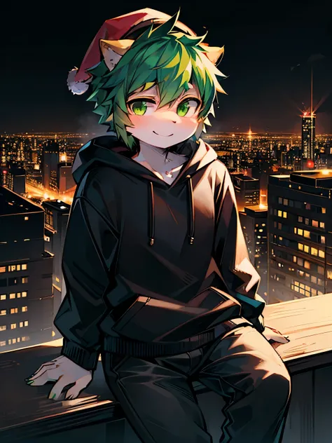 Solo, kemono, short height, green hair, green eyes, wear black hoodie, wear black pants, wear Santa hat, Christmas, look at camera, smile, sitting on high building, new York city background, night time, neon light from city, high details