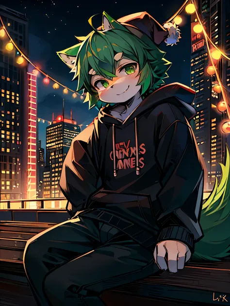 Solo, kemono, short height, green hair, green eyes, wear black hoodie, wear black pants, wear Santa hat, Christmas, look at camera, smile, sitting on boat, new York city background, night time, neon light from city, high details