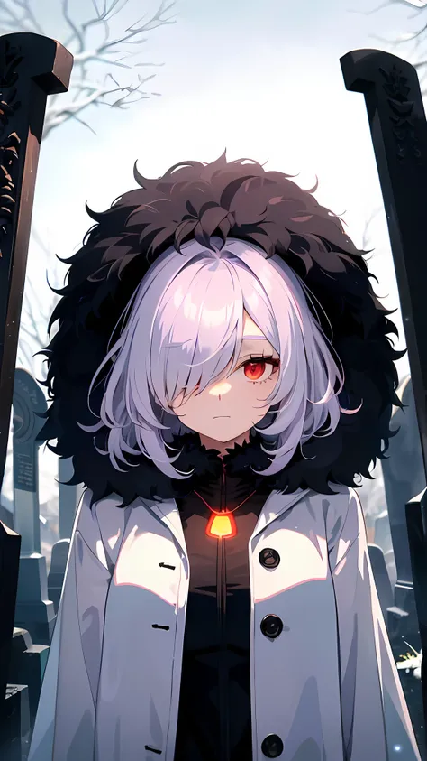 1 girl, alone,Beautiful body,glowing red eyes, beautiful woman, big deal, skeletal, white hair, ((hair covering eyes)), long shaggy black fur，The bottom  light purple, Wearing a white fur coat and a light purple fur cloak, (((hair covering eyes))), graveya...