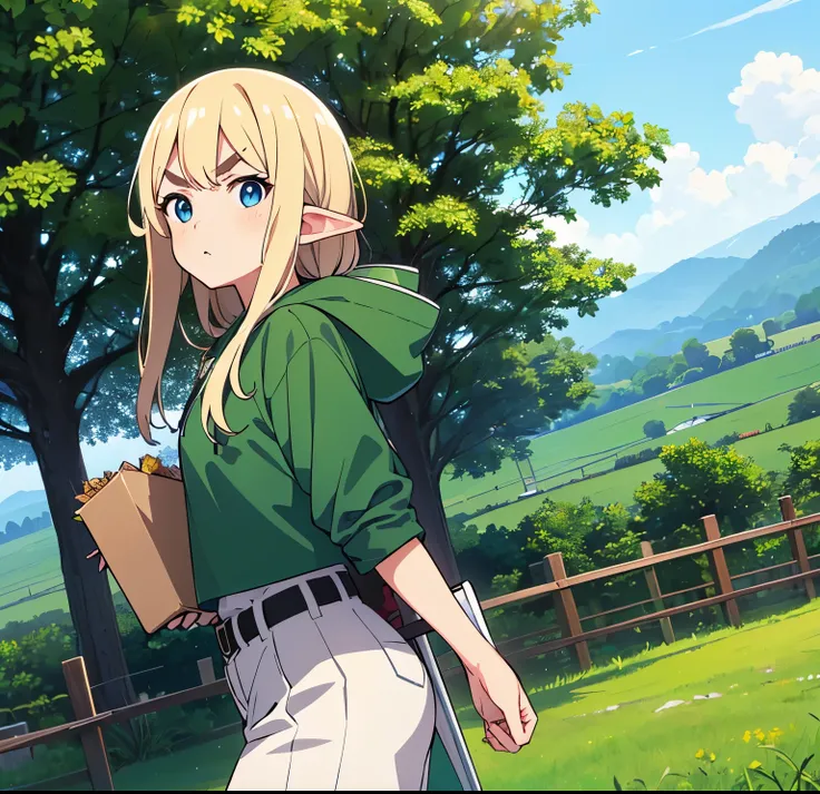 ((masterpiece)), ((high details)), ((best quality)), (((high quality)),1 girl,anime girl front of a fence,anime scenery of a fie...