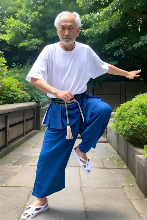 An old man who looks like a kung fu expert is doing a cool kung fu pose wearing a white T-shirt and dark blue pants that look like a samue.