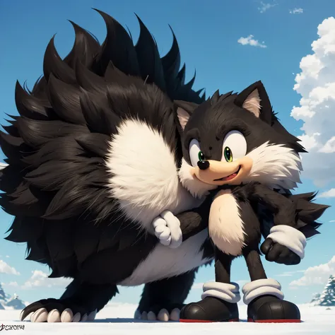  Male hedgehog, the same size and build as Shadow. Fur color, the right half is black and the left half is white. Crimson red right eye, sky blue left eye. pointed tail. Big black patch of fluff on the chest. Sonic the hedgehog drawing style.