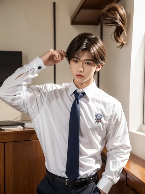 boy, 17 y.o, handsome, comma hair, long-sleeved shirt, tie, high school