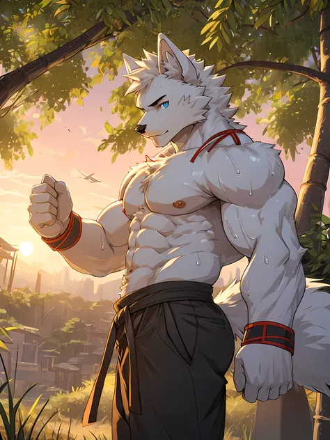 arctic fox,light blue eyes,Realistic eye detail,Have well-proportioned muscles,Nude body,Wear karate pants,Practicing karate under the bamboo tree,Sweat stains all over the body 1.5,Evening,beautiful sunset