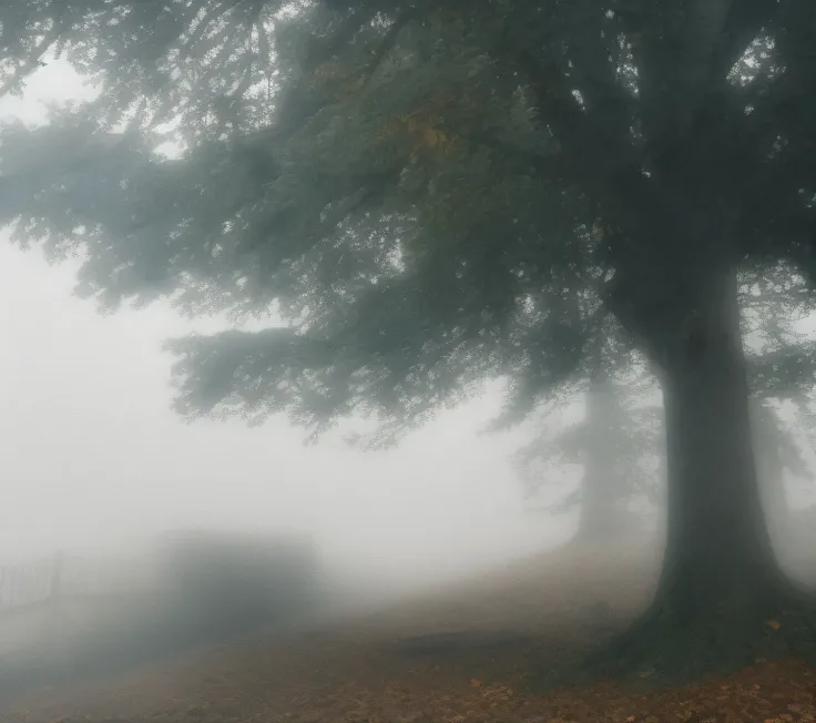 classicnegative photo of black fog at a house 1980 50mm 1.4f soft focus