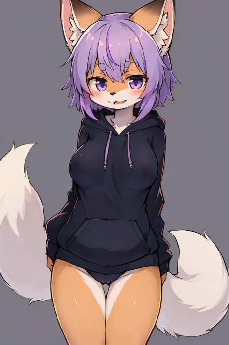 kemono furry, purple fur, light purple hair highlights, hoodie, fox, purple fox, highest quality, female, small breast,