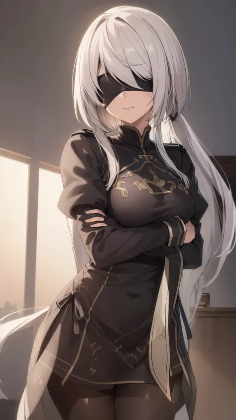 (extremely detailed CG unity 8k wallpaper), (masterpiece), (best quality), (ultra-detailed), (best illustration), (best shadow), (absurdres), 2b, 1girl, long hair, long ponytail, normal size boobs, white hair, blindfold solo, Intimidating women, admiral un...