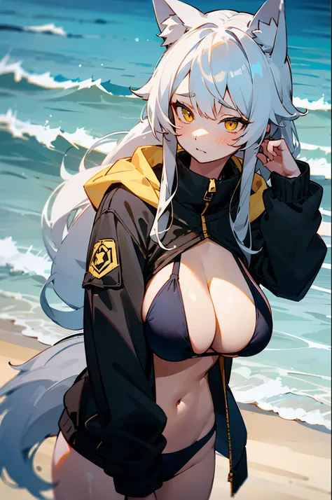 a wolf ear girl, white long hair, very big breast, yellow eye, black jacket, shy, black bikini, beach