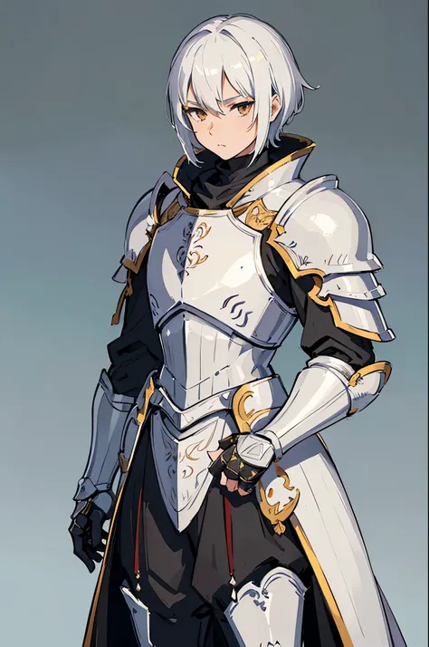 ((masterpiece)), ((best quality)), ((ultra detailed)), 1boy, solo, white hair, white eyes, armor knight, having a sword, (simple background)