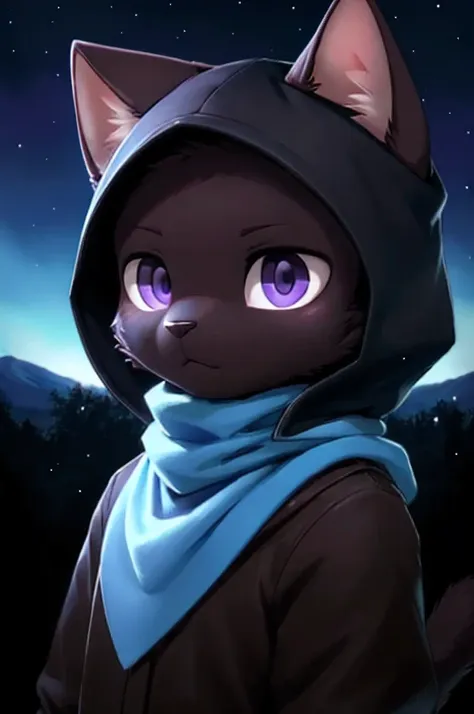 (high quality:1.2),ultra-detailed,furry man,black cat,beautiful detailed purple eyes,brown dark hood,bright sky blue scarf.