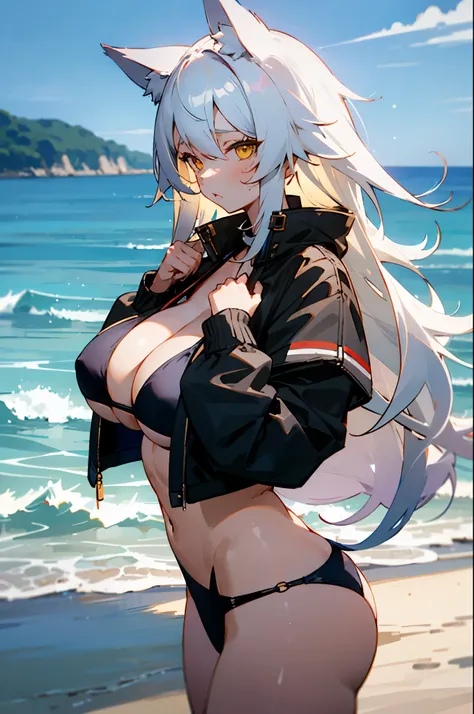 a wolf ear girl, white long hair, very big breast, yellow eye, black jacket, shy, black bikini, beach