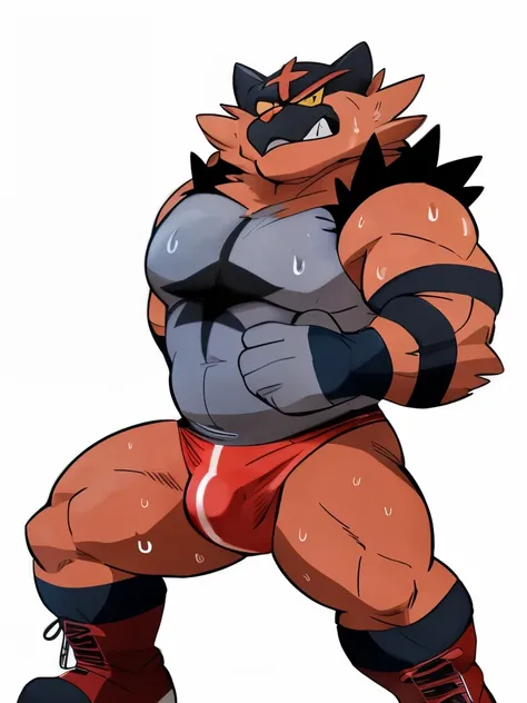 slim:1 incineroar. 4k, high resolution, best quality, posted on e621, solo, anthro body, older male, male, mane, adult, very masculine, big fat, musclechub, (athletic, well defined muscles), correct anatomy, (white background, no background:1.2), (by wfa:1...