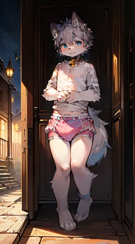 masterpiece, high quality, Outrageous resolution, digital painting  (illustration ), Writer: Dagashi, yes, kiyosan, (fluffy fur, white fur, Full Body Furry,). boy, blue eyes, gray hair, bright eyes, panorama, Character focus. detailed background, (Bells, P...