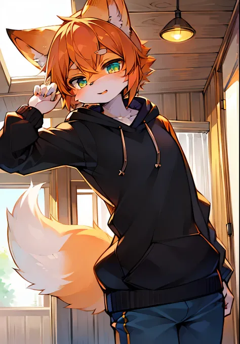 (best quality,ultra-detailed), (kemono poilu, furry),orange fur, light orange hair,sweatshirt,turquoise eyes, fox,girly male.