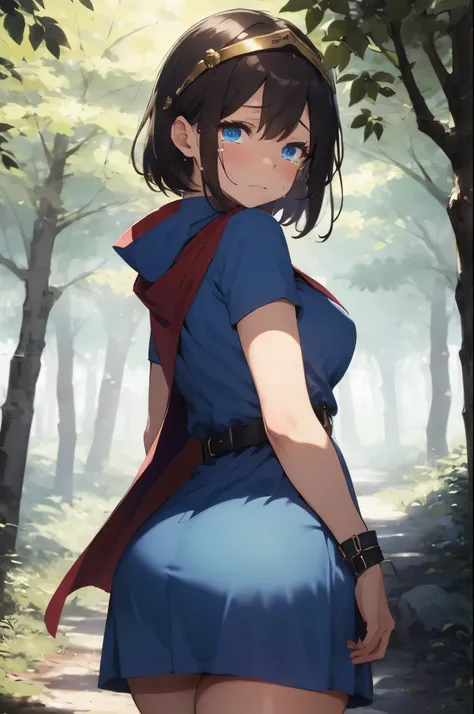 (masterpiece:1.1, Best Quality:1.1, 16K HDR:1.1, High resolution:1.1), (sheathed weapon on back:1.2), roto (DQ3), 1girl in, Solo, Short hair, Brown hair, Blue eyes, ((circlet)), medium breasts, (blue dress:1.5), Purple Cape, ((thick thighs)), elbow groves,...