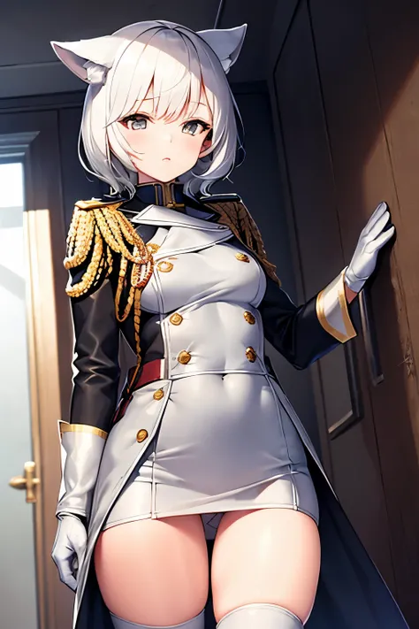 Masterpiece,1girl, Solo, standing, inside a spaceship, brown military officer clothes,white gloves, best quality, commander, brown coat, black boots, hands on the pocket, cowboy shots, gold badge, white hair, wolf ears,brown ears, short hair, mechanical ea...