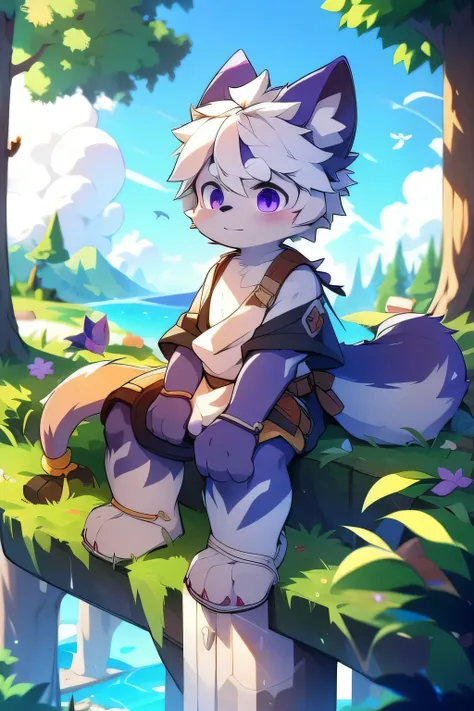 the only person，hairy male，hairy body，exhibit，Coyotes，canine，gray fur，long white hair，The ends of the hair are purple，purple eyes，being bullied，charming，Handsome，big tail，male love，sitting at the edge of a cliff，undying，god，horny boy，Shota