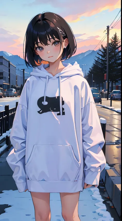 (short cute girl，small young student，young delicate girl）,（masterpiece，Top quality)，Pastel hoodies，black hair，snowfield