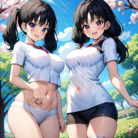 Videl 2