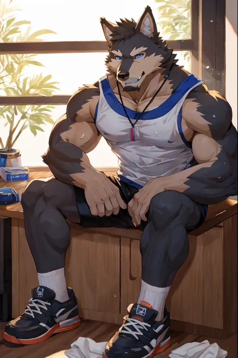 (best quality,highres),a robust blue-eyed gray wolf sitting on a desk, wearing a sports tank top, shorts, and sneakers. The wolf has just finished exercising and is sweating profusely. He takes off one shoe, revealing a dirty white sock covering his huge s...