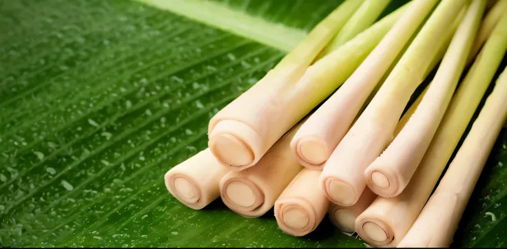 Lemon grass; organic agriculture